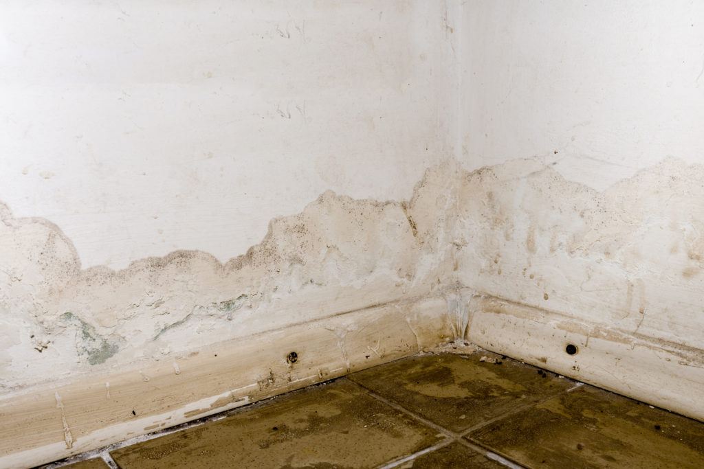 Flooding rainwater or floor heating systems, causing damage, peeling paint and mildew.